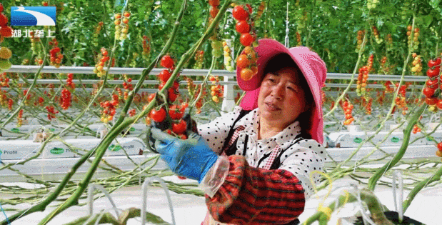 GIF 2025-5-14 13-24-03.gif