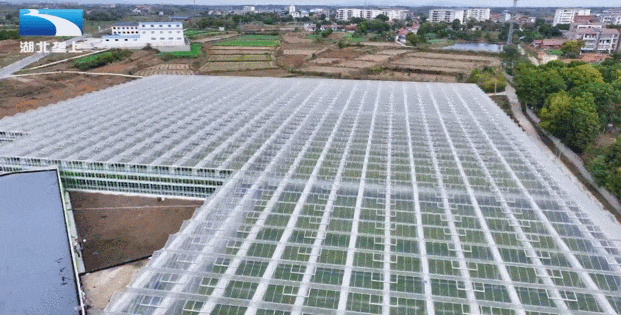 GIF 2025-5-14 13-12-52.gif