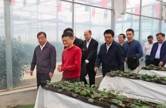 馬云山東考察智慧農業