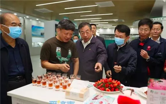 馬云山東考察智慧農業