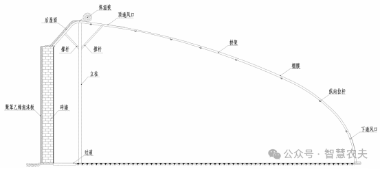 Shape6