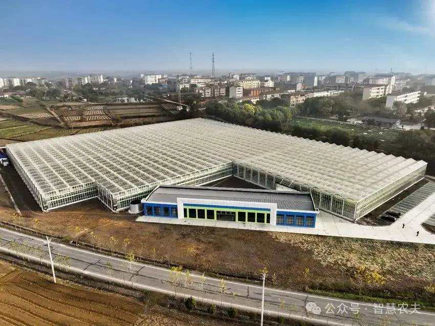 生產基地，占地 60 余畝，總投資 4000 萬元，建成 21000 平米國際領先的半封閉荷蘭智能溫室。